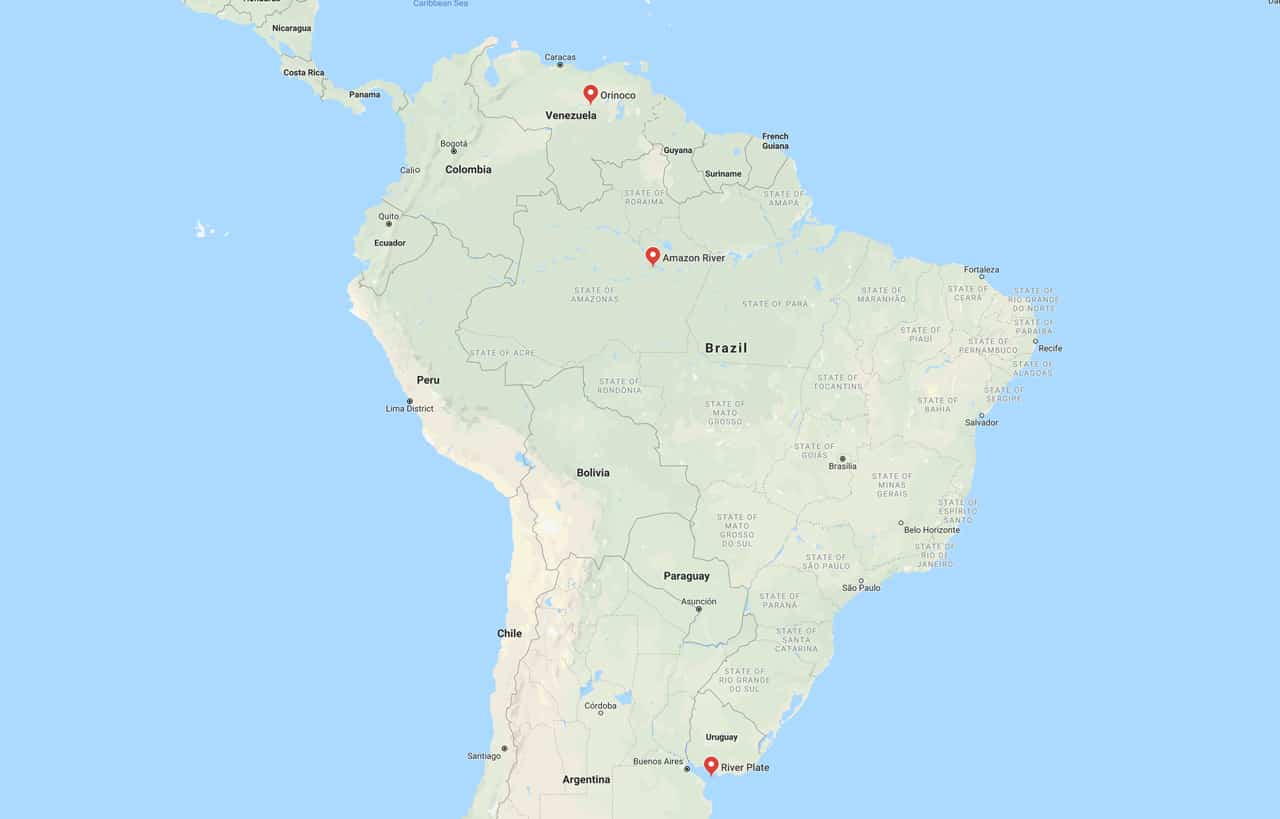 motoro stingray fish origin